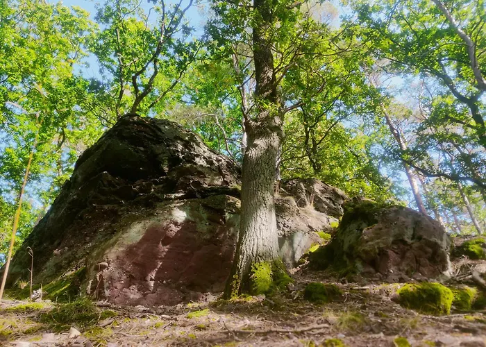Gemuetliches Am Nationalpark Eifel *